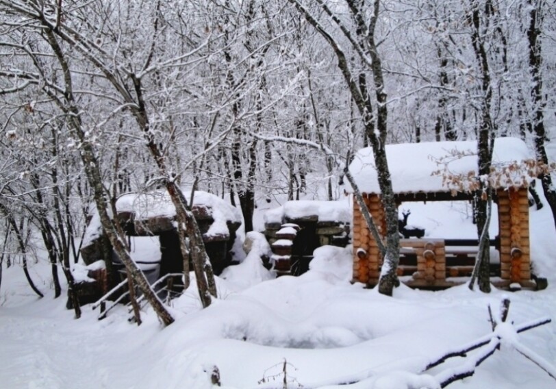 Высота снежного покрова в Алтыагадже составила 25 см