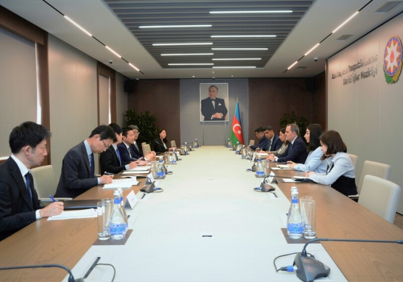 Баку и Токио обсудили сотрудничество в рамках международных организаций (Фото)