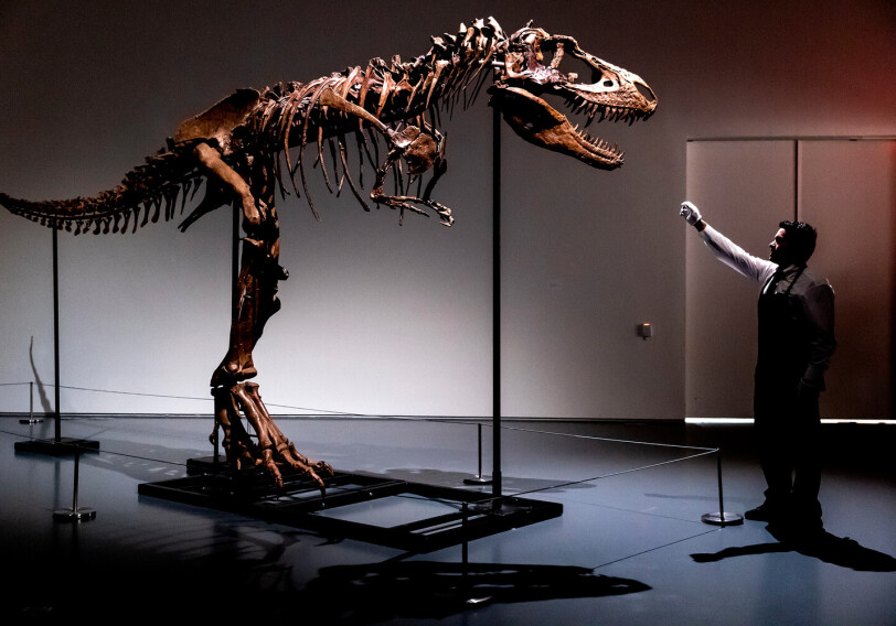 В Нью-Йорке выставят на аукцион скелет динозавра возрастом 76 млн лет