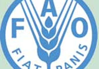 В Азербайджане откроется региональный офис FAO