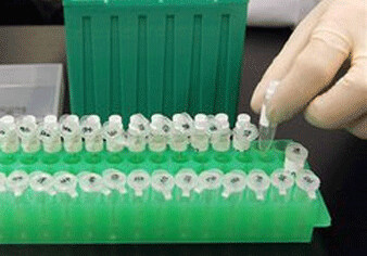 В Азербайджане будет запущена лаборатория по выявлению ГМО