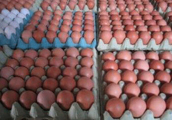 Азербайджан будет экспортировать яйца за рубеж 