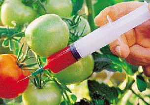Азербайджан усилит контроль за генетически модифицированными продуктами 