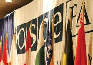 Серьезных нарушений в ходе выборов в  не замечено – вице-президент ПА ОБСЕ