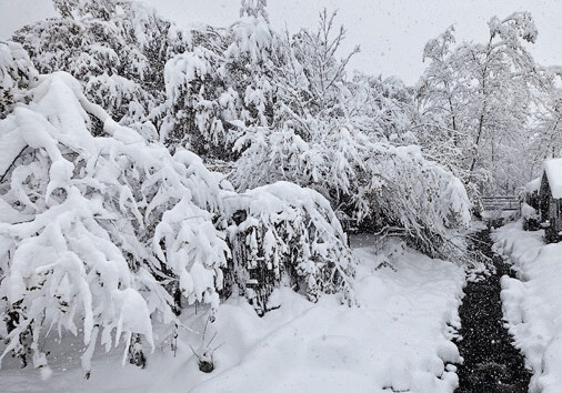 Больше всего снега выпало в Гусарском районе