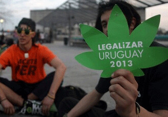 Уругвай полностью легализовал торговлю марихуаной
