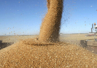 Государственный зерновой фонд о повышении цен на импортируемое зерно 