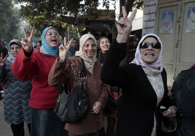 В Египте женщина впервые возглавила политическую партию