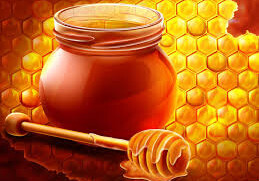 Мед поможет побороть устойчивость бактерий к антибиотикам