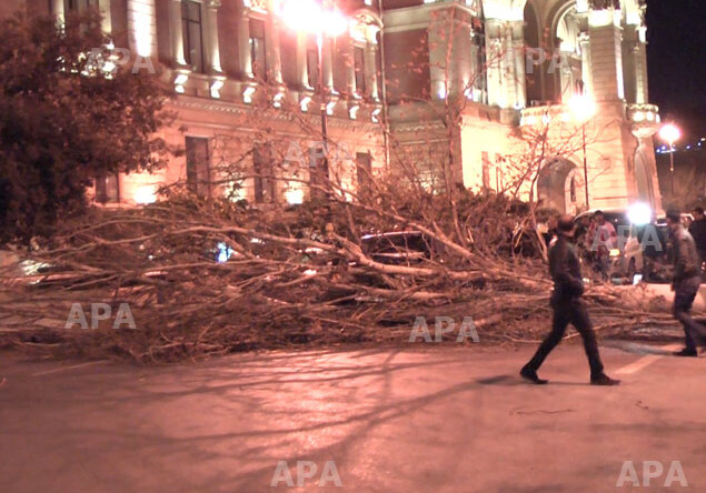 Последствия сильного ветра в Баку (ФОТО)