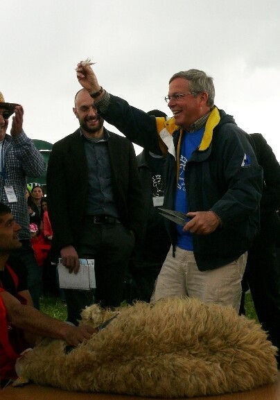Посол США в Армении попытался постричь овцу