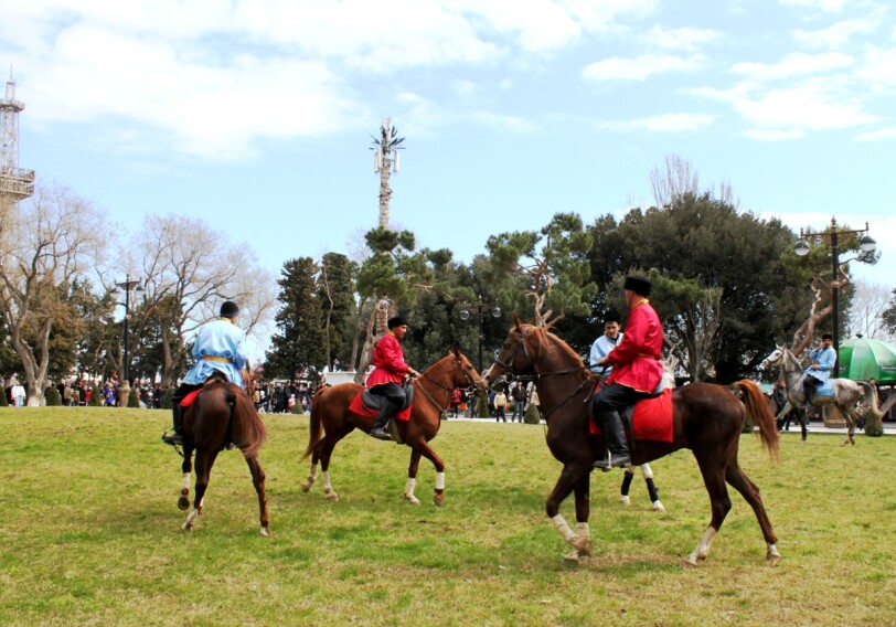 Фестиваль конного спорта проходит в Шеки
