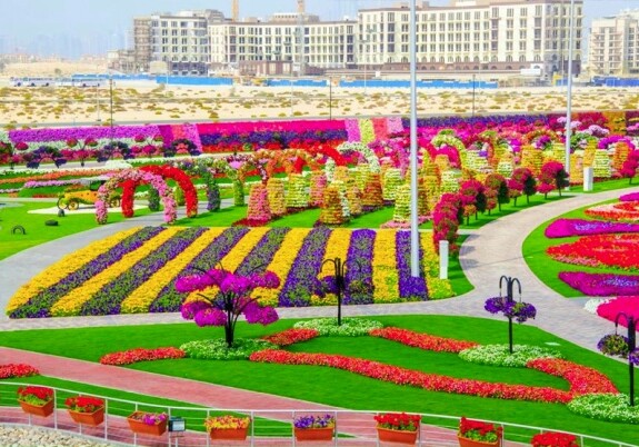 Парк бабочек в Дубае готовится к открытию (ФОТО)