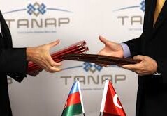Турция увеличивает долю в TANAP