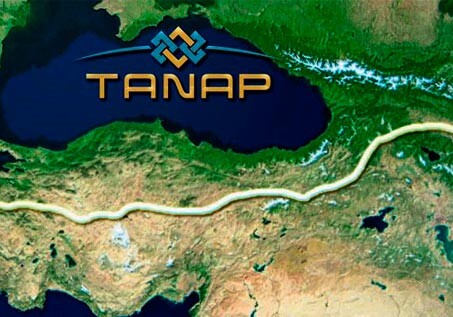 Определены сроки начала строительства TANAP