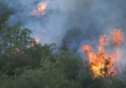 В лесах на азербайджано-иранской границе произошел пожар