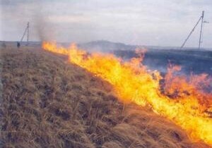 Армяне устроили пожар на границе