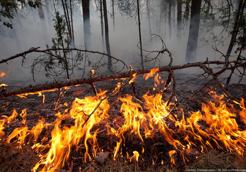 Предотвращена возможность перехода огня на территорию лесного массива-в Гахе 