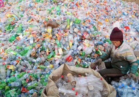 Сроки разложения разных видов мусорных отходов (фото)
