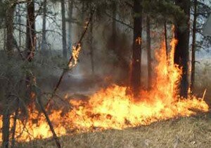 Потушен пожар в Шахдагском национальном парке