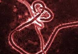 Женщина, предположительно с диагнозом Эболы, скончалась в Абу-Даби