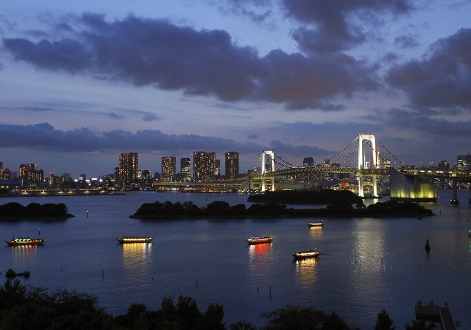 Власти Токио планируют очистить воду в Токийском заливе в преддверии Олимпиады-2020