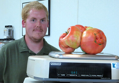 Американский фермер вырастил самый большой в мире помидор