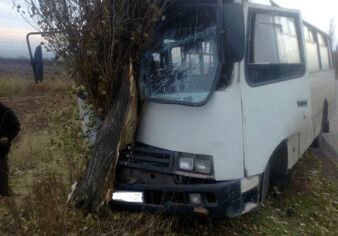 В Шемахе автобус врезался в дерево: есть погибшие и раненые