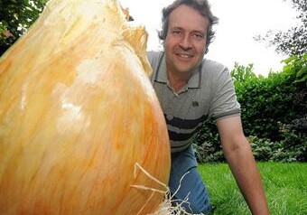 Британец вырастил самый большой лук в мире