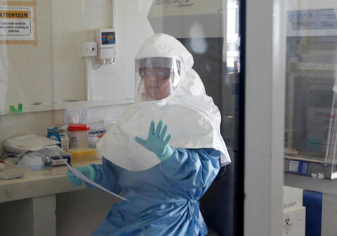 Противочумная станция:«В Азербайджане нет опасности, связанной с вирусом Эбола»