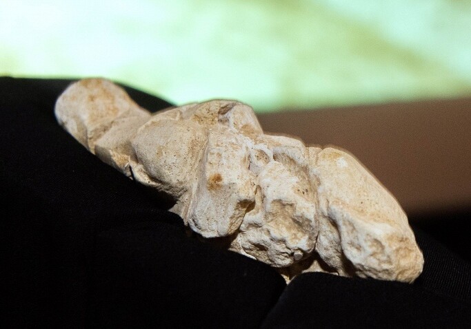 Археологи нашли статуэтку, созданную 23 тыс. лет назад