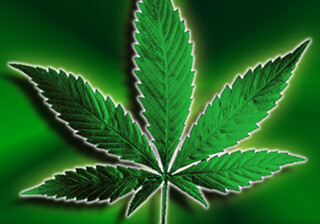 В США индейцам разрешили выращивать марихуану