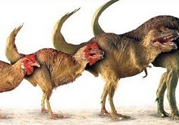 Курица оказалась ближайшим родственником летающих динозавров