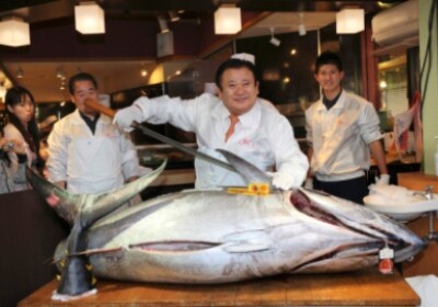 Голубой тунец продан на аукционе за $37,5 тысяч