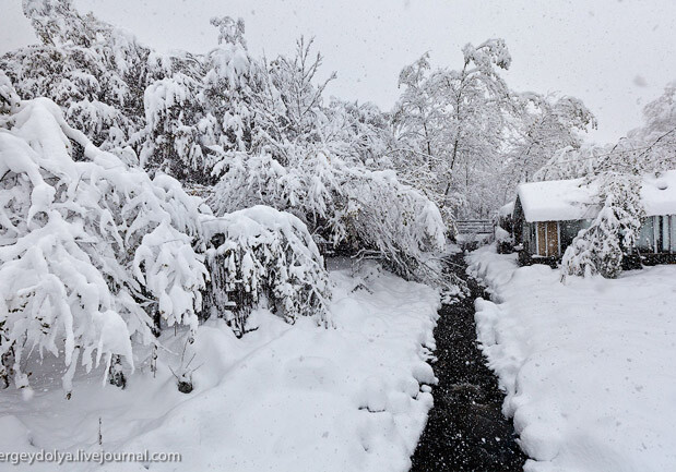 В Нахчыване выпало самое большое количество снега в республике