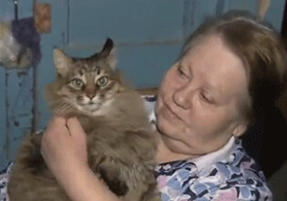 Кошка, спасшая подкидыша, стала героиней СМИ 