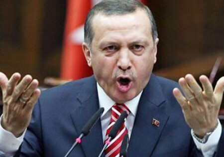 Эрдоган спел на концерте (Видео)