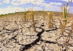 США ожидает сильнейшая за тысячелетие засуха