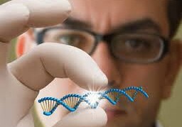 Ученые по ДНК научились точно определять место рождения человека