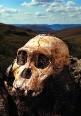 В Эфиопии откопали самые древние останки человекоподобных существ 