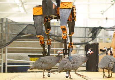 В США создали самого быстрого в мире двуногого робота