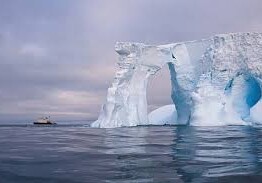Ученые впервые засняли подледную жизнь Антарктиды (Видео)