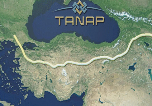 «SOCAR даже не думает о продаже своей доли в TANAP и не ведет никаких переговоров»