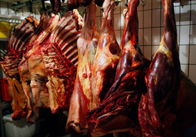 Обнаружены подготовленные к продаже 156 кг мяса конины – в Кюрдамире