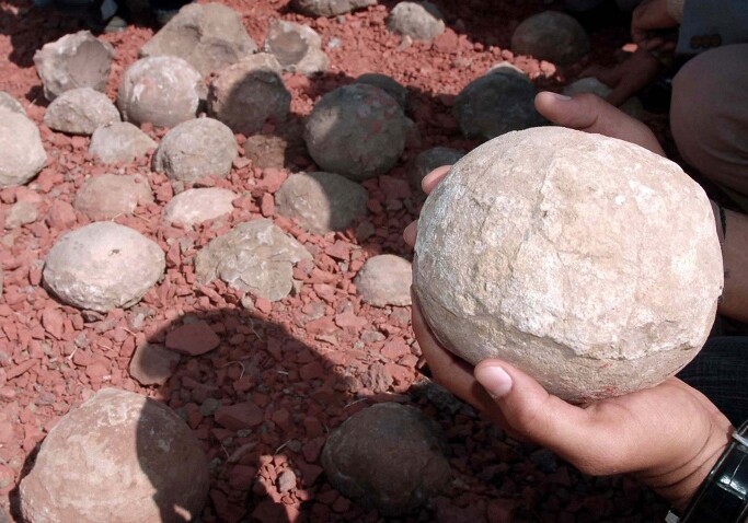 Десятки яиц динозавров обнаружено на юге Китая