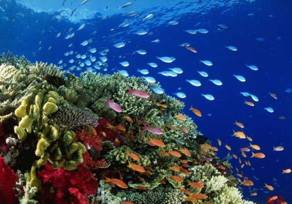 Ресурсы Мирового океана оценены в 24,2 триллиона долларов