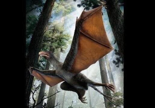 В Китае нашли останки динозавра, похожего на летучую мышь