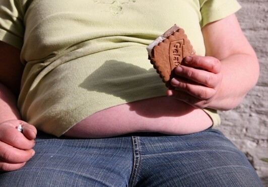 ВОЗ: ВОЗ: три четверти мужчин и две трети женщин будут страдать от лишнего веса в Европе