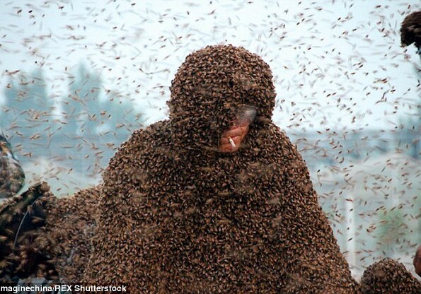 Китаец установил мировой рекорд, посадив на себя 1 млн. пчел (Фото-Видео)