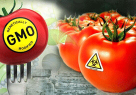 ГМО вне закона,